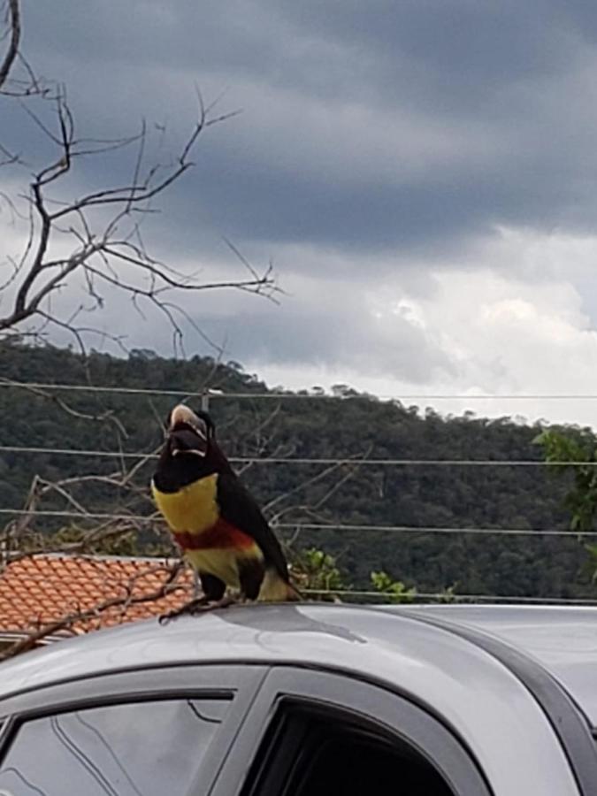 Pousada Canto Dos Passaros Pirenópolis エクステリア 写真